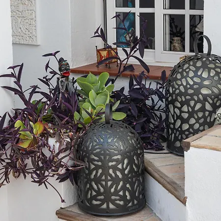 Casa Amaro Appartement *