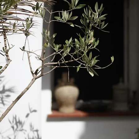 Casa Amaro Appartement