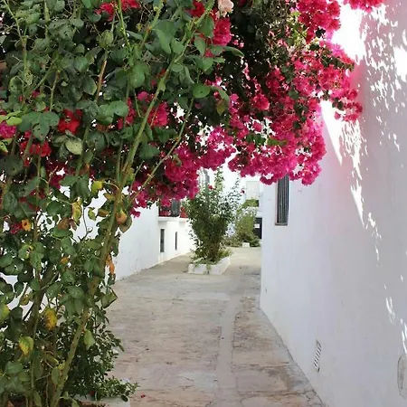 Apartment Casa Amaro